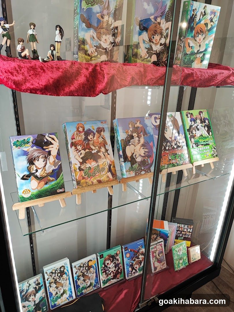 Akiba Night GALLERY by TOYPLA × Melonbooks
