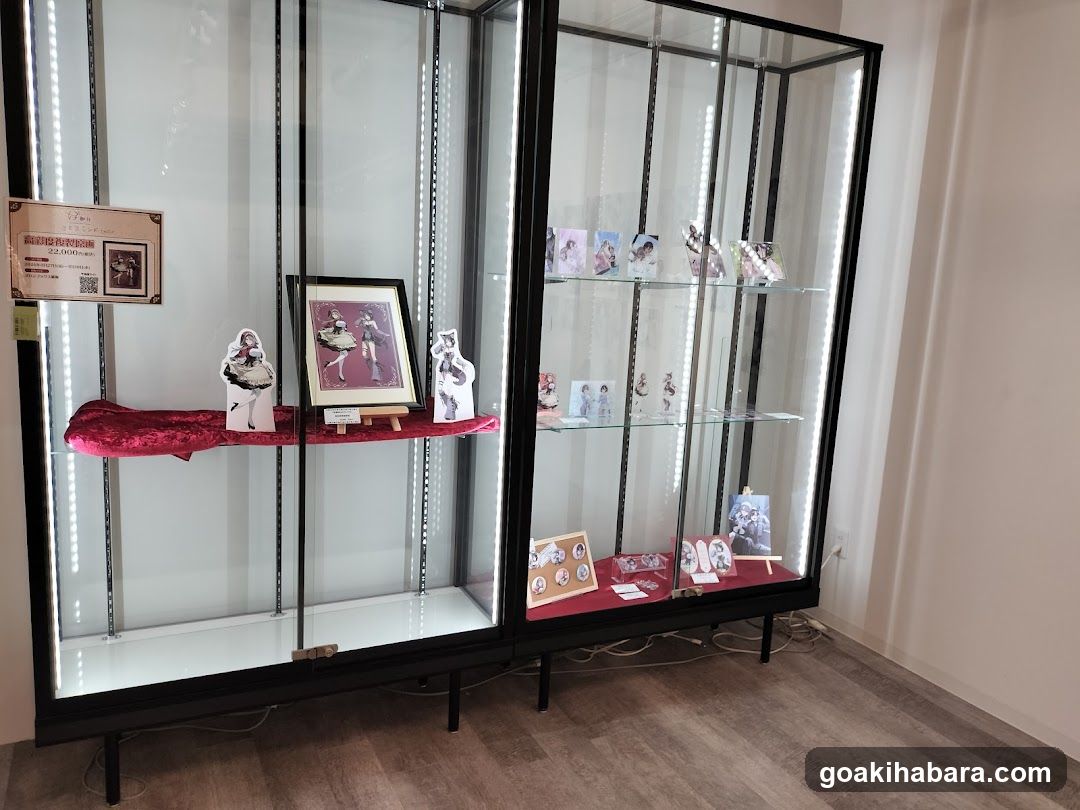 Akiba Night GALLERY by TOYPLA × Melonbooks