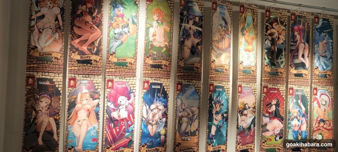 Akiba Night GALLERY by TOYPLA × Melonbooks