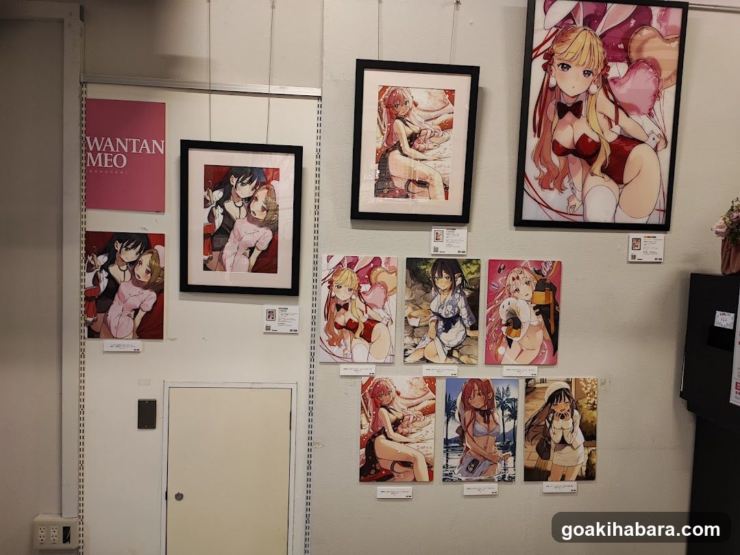 Akiba Night GALLERY by TOYPLA × Melonbooks