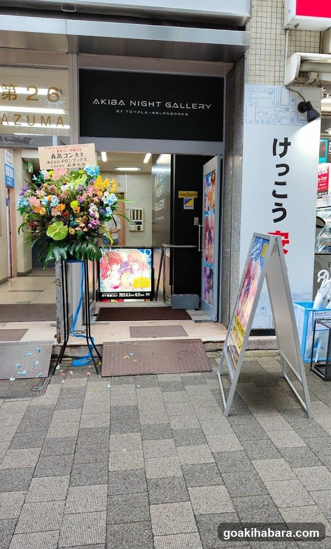 Akiba Night GALLERY by TOYPLA × Melonbooks