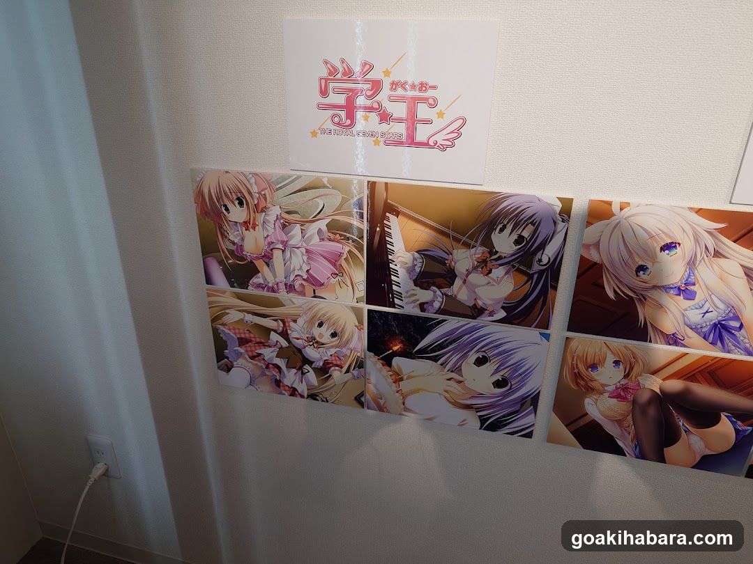 Akiba Night GALLERY by TOYPLA × Melonbooks