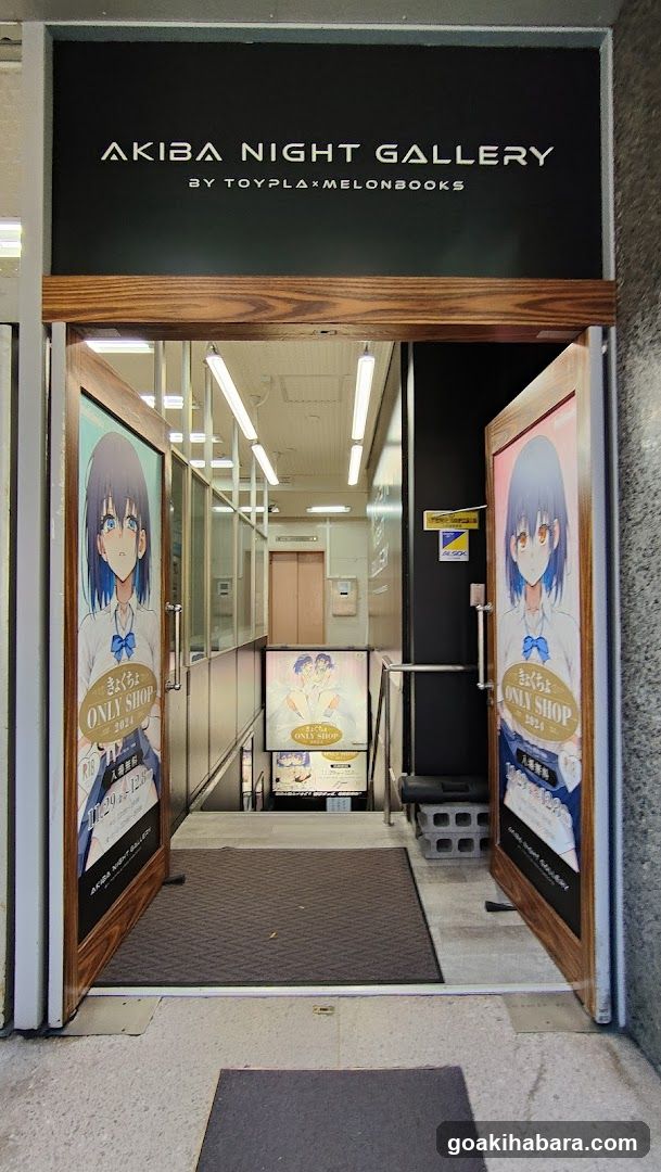 Akiba Night GALLERY by TOYPLA × Melonbooks