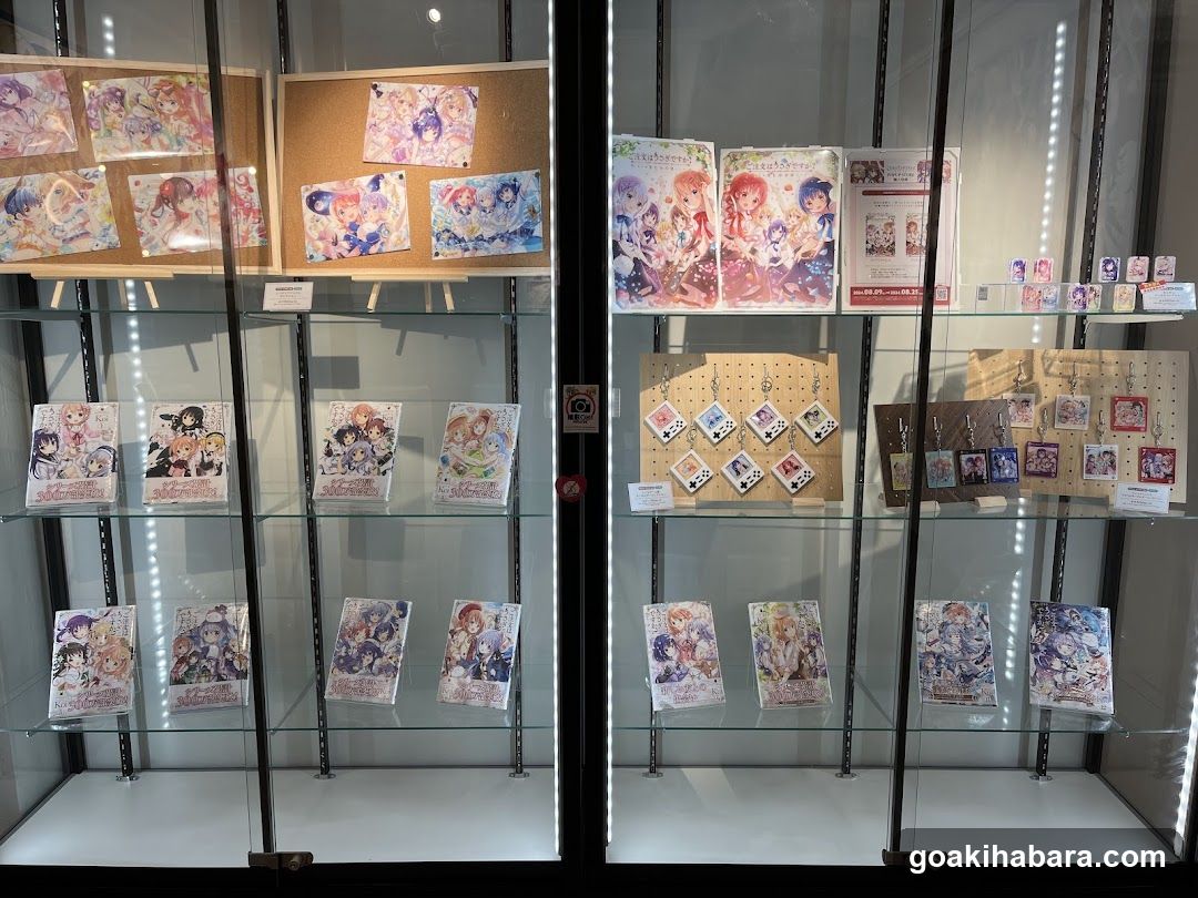 Akiba Night GALLERY by TOYPLA × Melonbooks