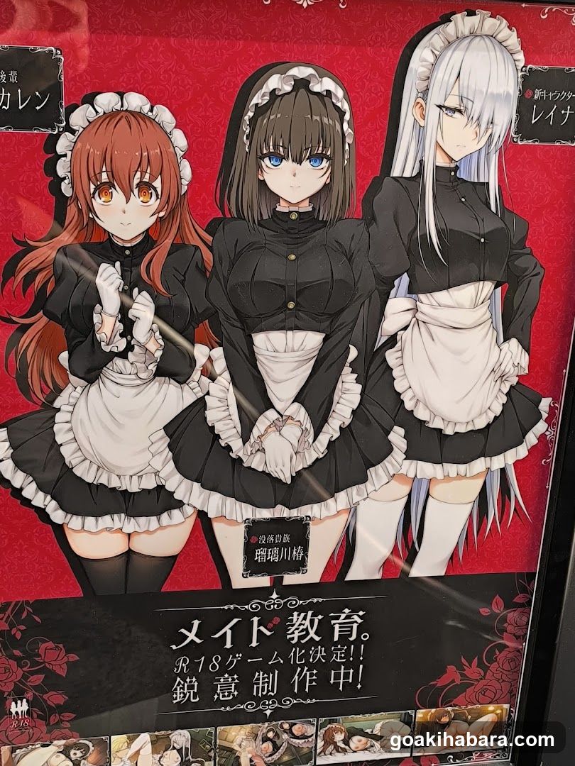 Akiba Night GALLERY by TOYPLA × Melonbooks