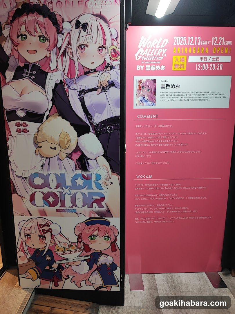 Akiba Night GALLERY by TOYPLA × Melonbooks