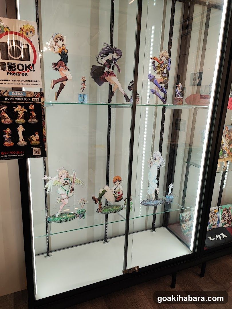 Akiba Night GALLERY by TOYPLA × Melonbooks