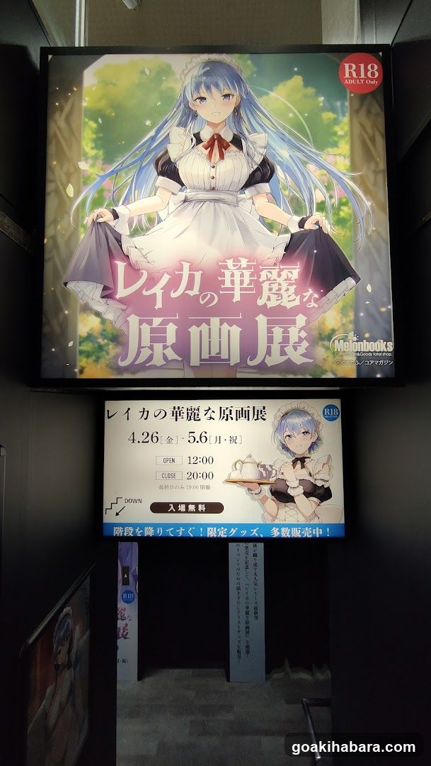 Akiba Night GALLERY by TOYPLA × Melonbooks