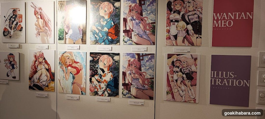 Akiba Night GALLERY by TOYPLA × Melonbooks