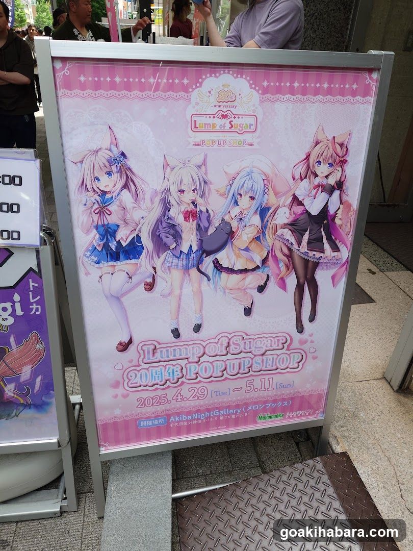 Akiba Night GALLERY by TOYPLA × Melonbooks