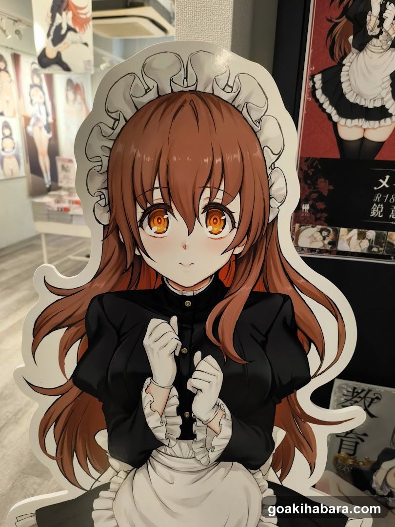 Akiba Night GALLERY by TOYPLA × Melonbooks