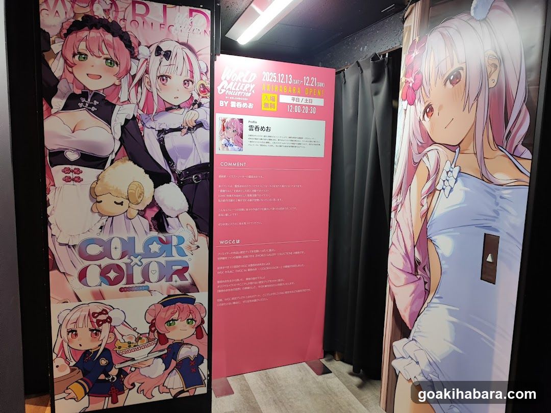 Akiba Night GALLERY by TOYPLA × Melonbooks
