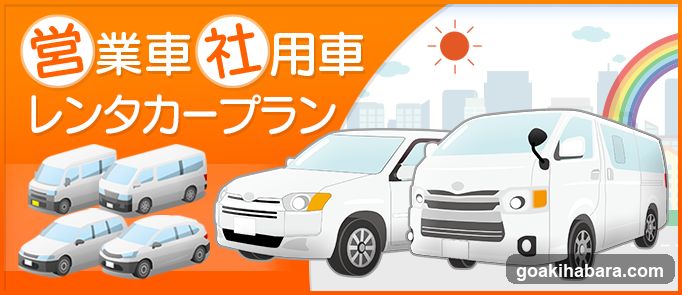 Rental Cars