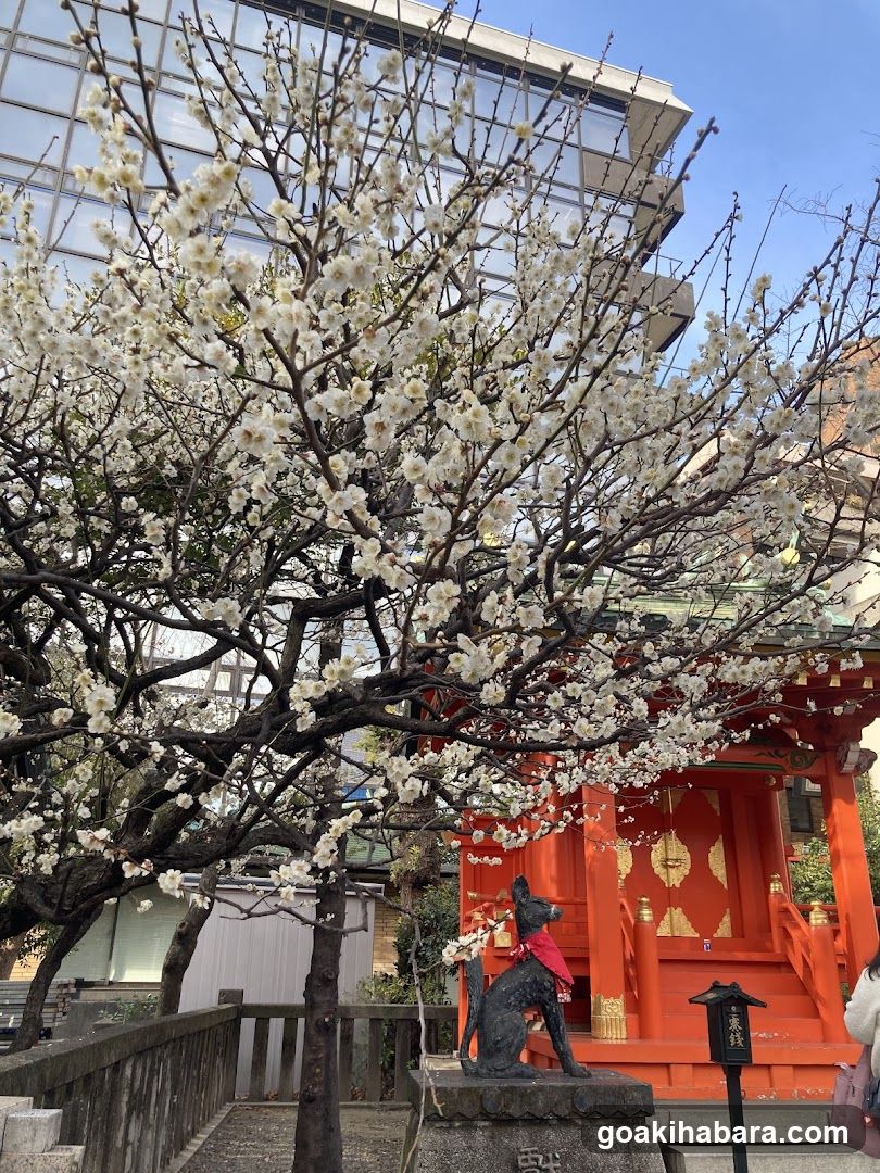 Suehiroinari Shrine