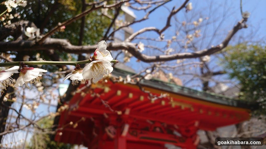 Suehiroinari Shrine