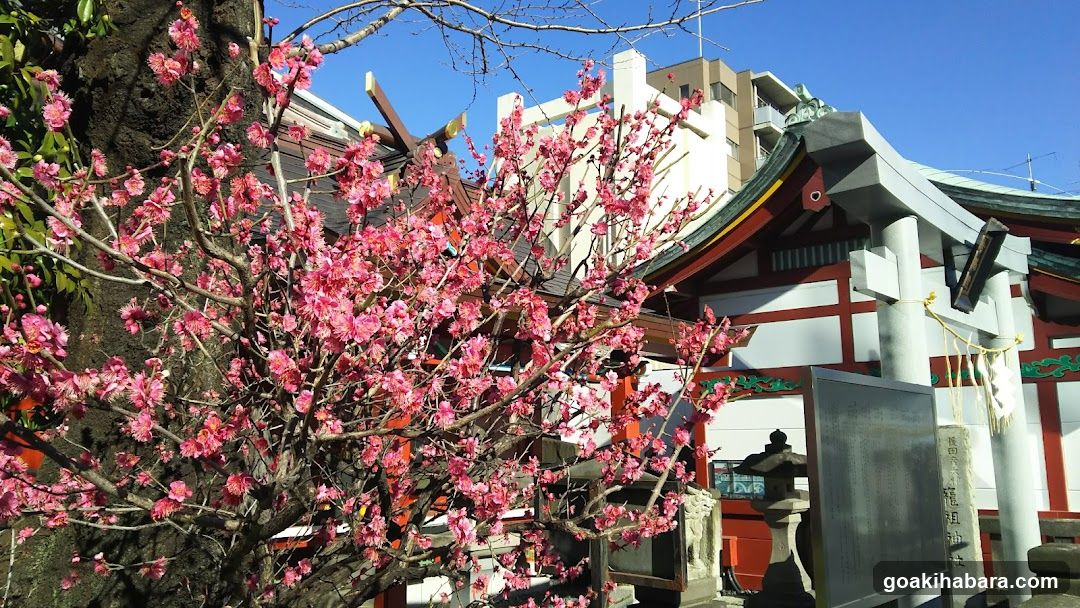Mishuku Inari Shirine Konpira Shrine