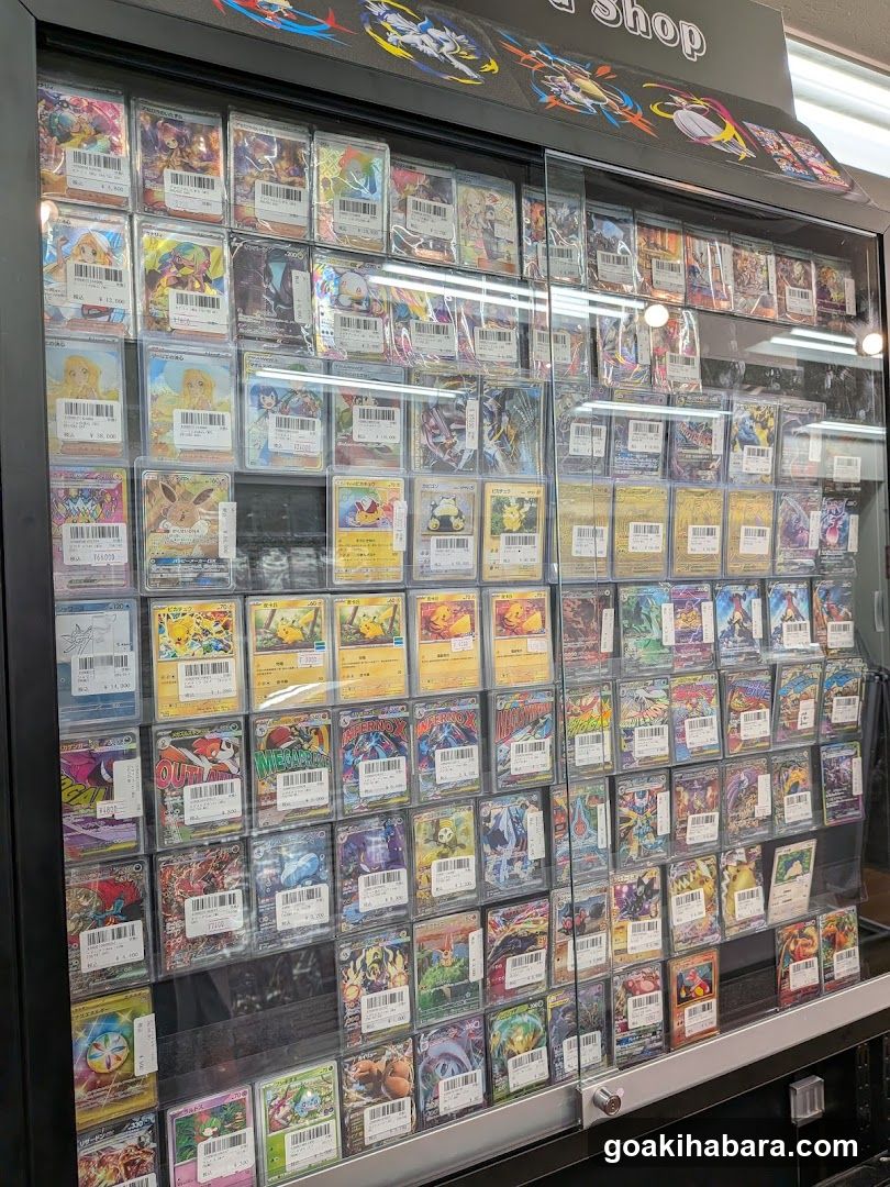 TORECAMAALL Akihabara 2nd Store