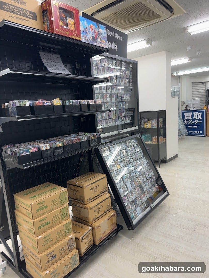 TORECAMAALL Akihabara 2nd Store