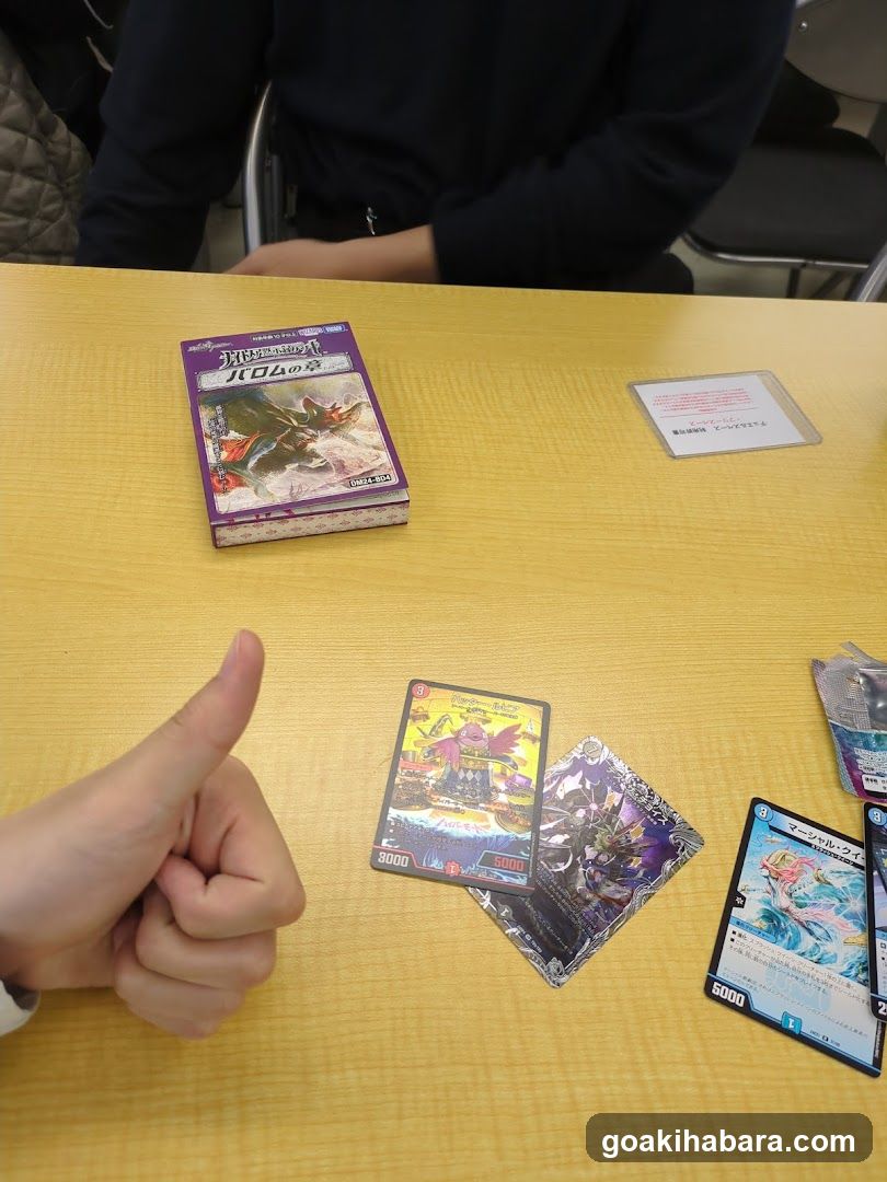 TORECAMAALL Akihabara 2nd Store