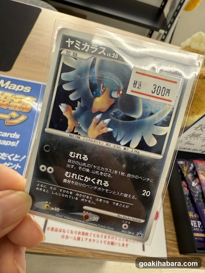 TORECAMAALL Akihabara 2nd Store