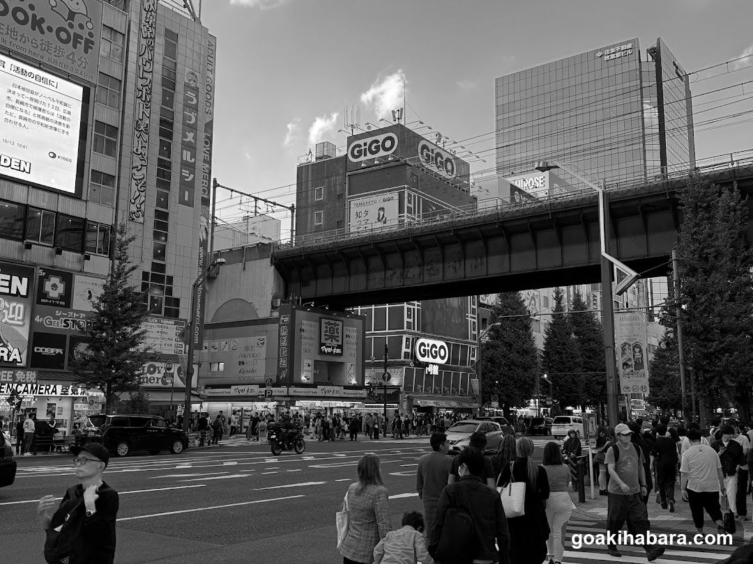 TORECAMAALL Akihabara 2nd Store