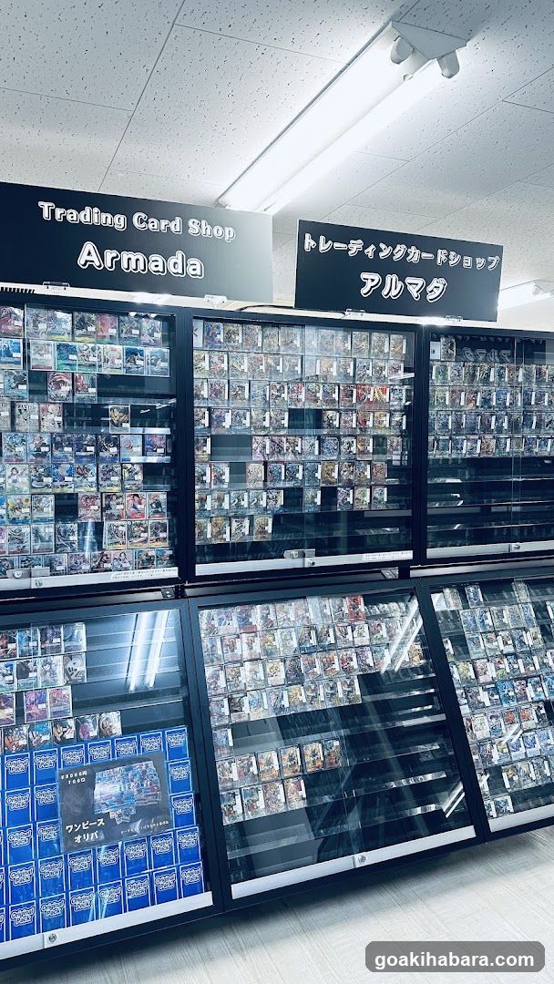 TORECAMAALL Akihabara 2nd Store