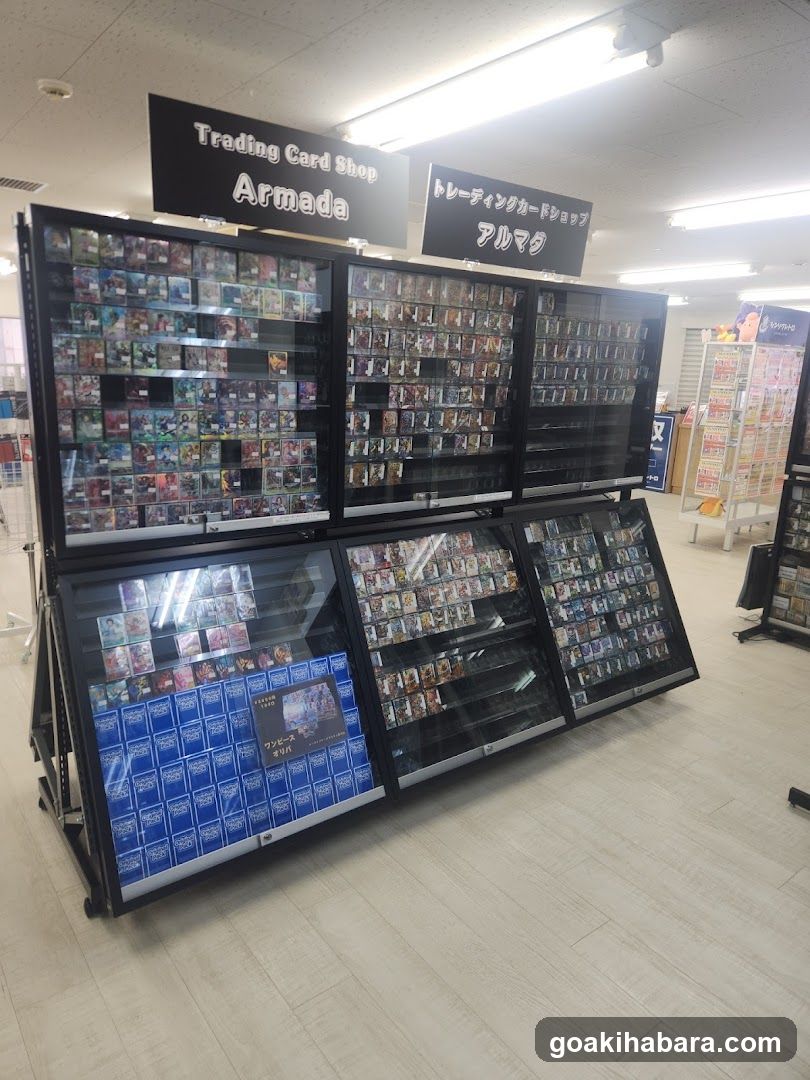 TORECAMAALL Akihabara 2nd Store