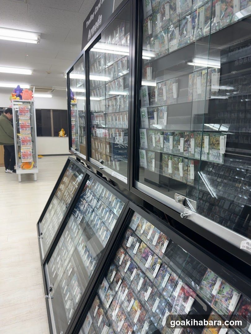 TORECAMAALL Akihabara 2nd Store