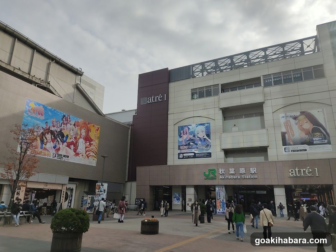 Akihabara Station Electric Town West Plaza