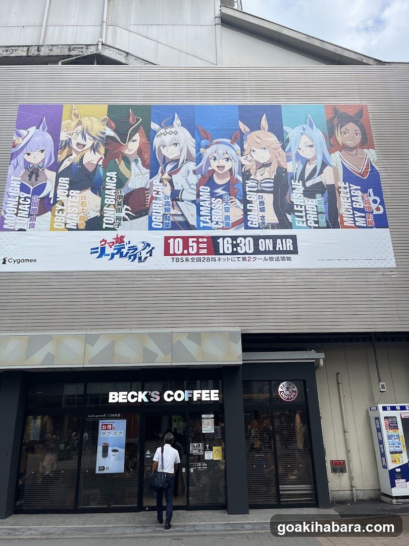 Akihabara Station Electric Town West Plaza