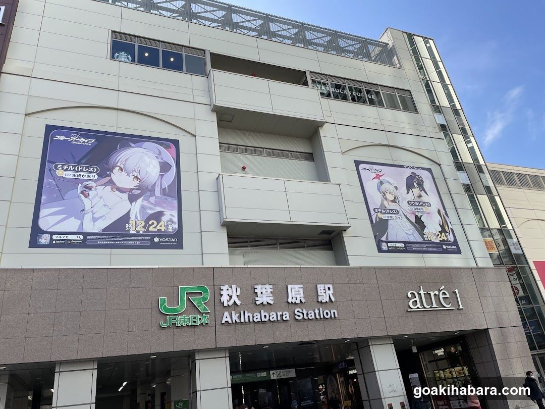 Akihabara Station Electric Town West Plaza