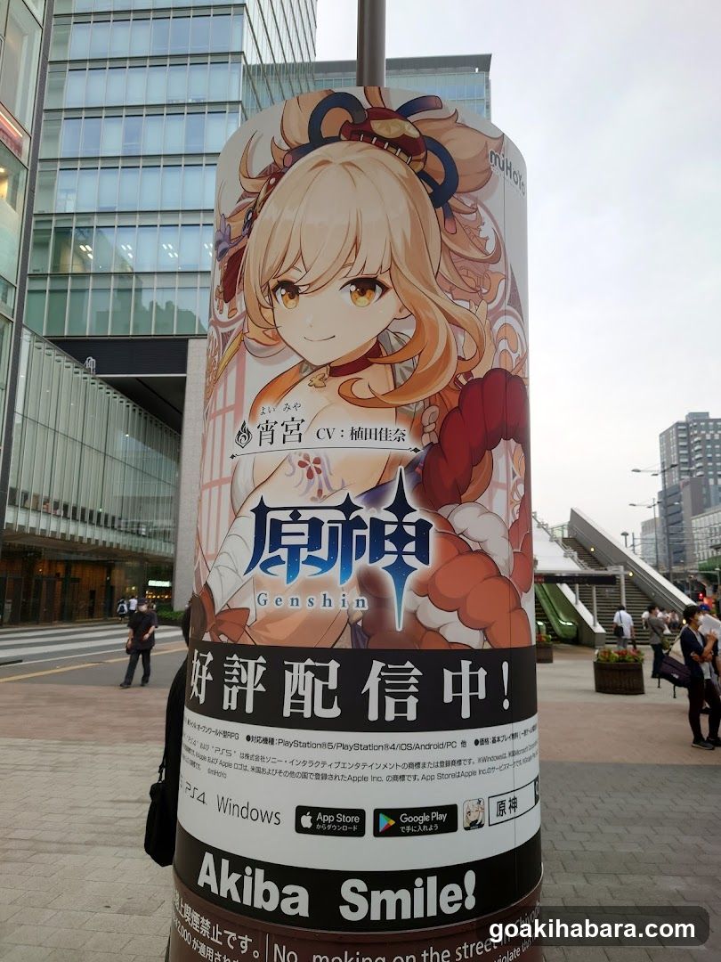 Akihabara Station Electric Town West Plaza