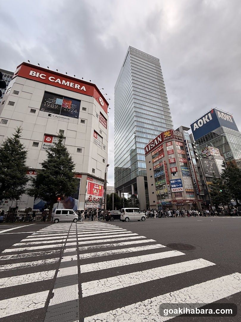 Akihabara Station Electric Town West Plaza