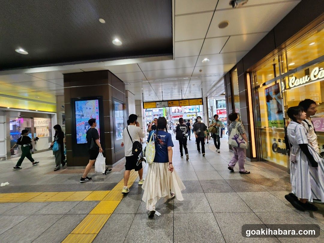 Akihabara Station Electric Town West Plaza