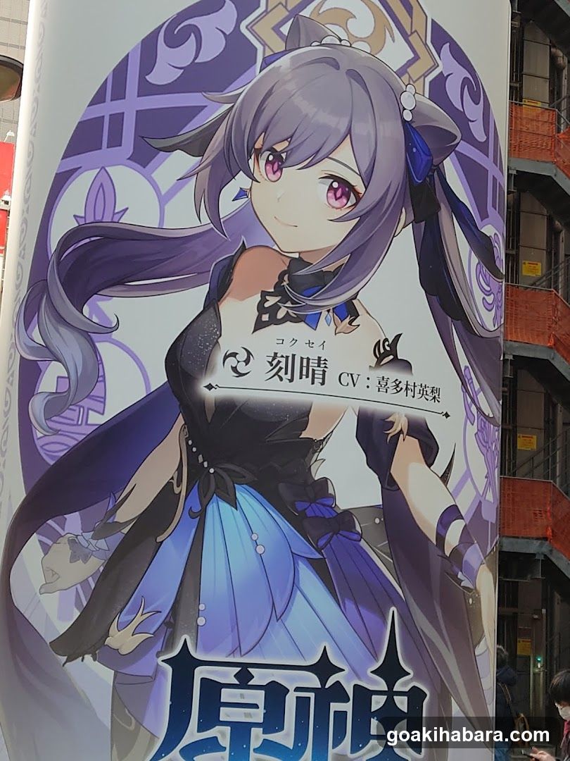 Akihabara Station Electric Town West Plaza