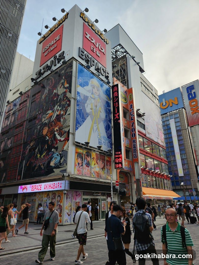 Akihabara Station Electric Town West Plaza