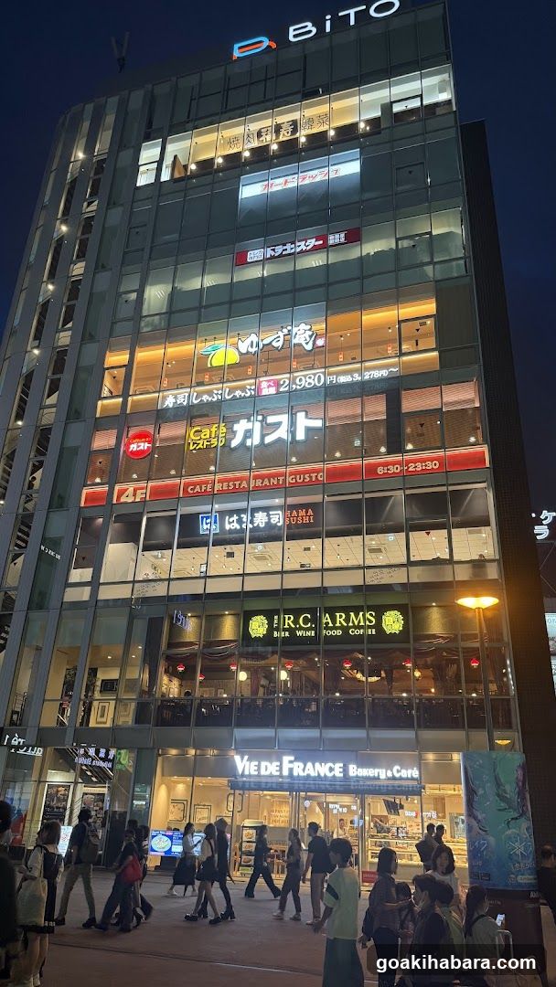 Akihabara Station Electric Town West Plaza