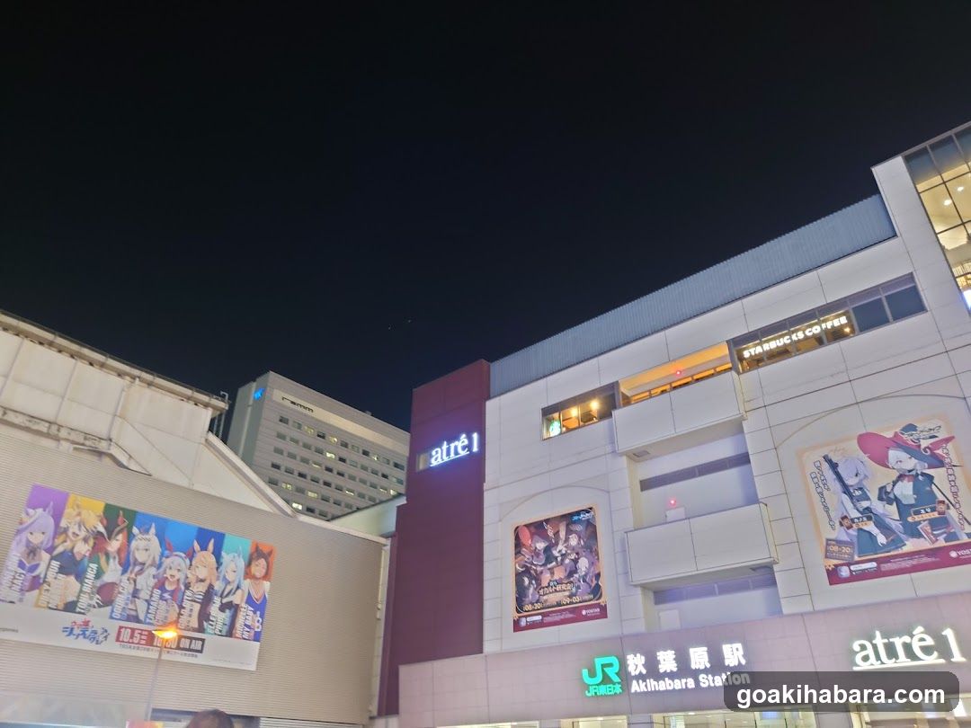 Akihabara Station Electric Town West Plaza