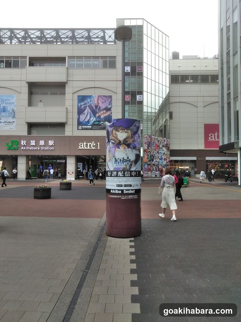 Akihabara Station Electric Town West Plaza
