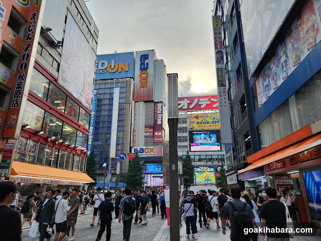 Akihabara Station Electric Town West Plaza