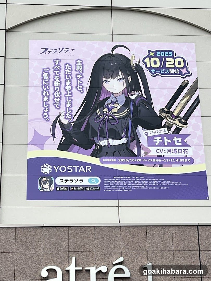 Akihabara Station Electric Town West Plaza