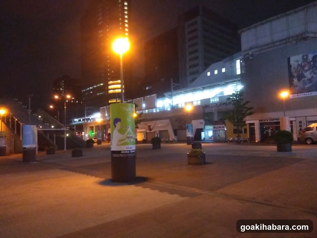 Akihabara Station Electric Town West Plaza