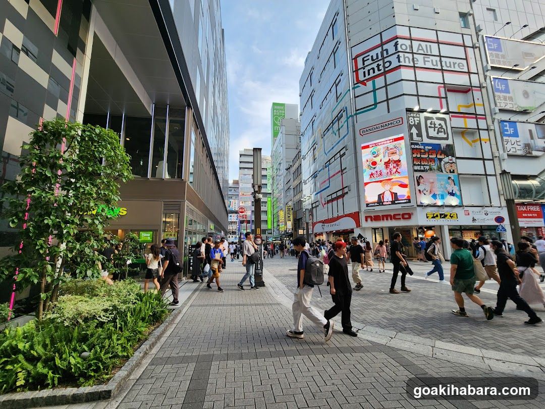 Akihabara Station Electric Town West Plaza