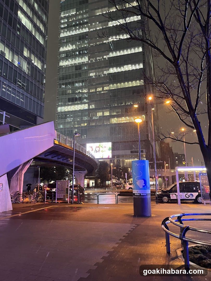 Akihabara Station Electric Town West Plaza