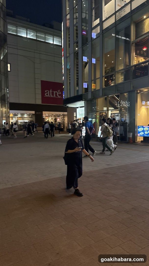 Akihabara Station Electric Town West Plaza