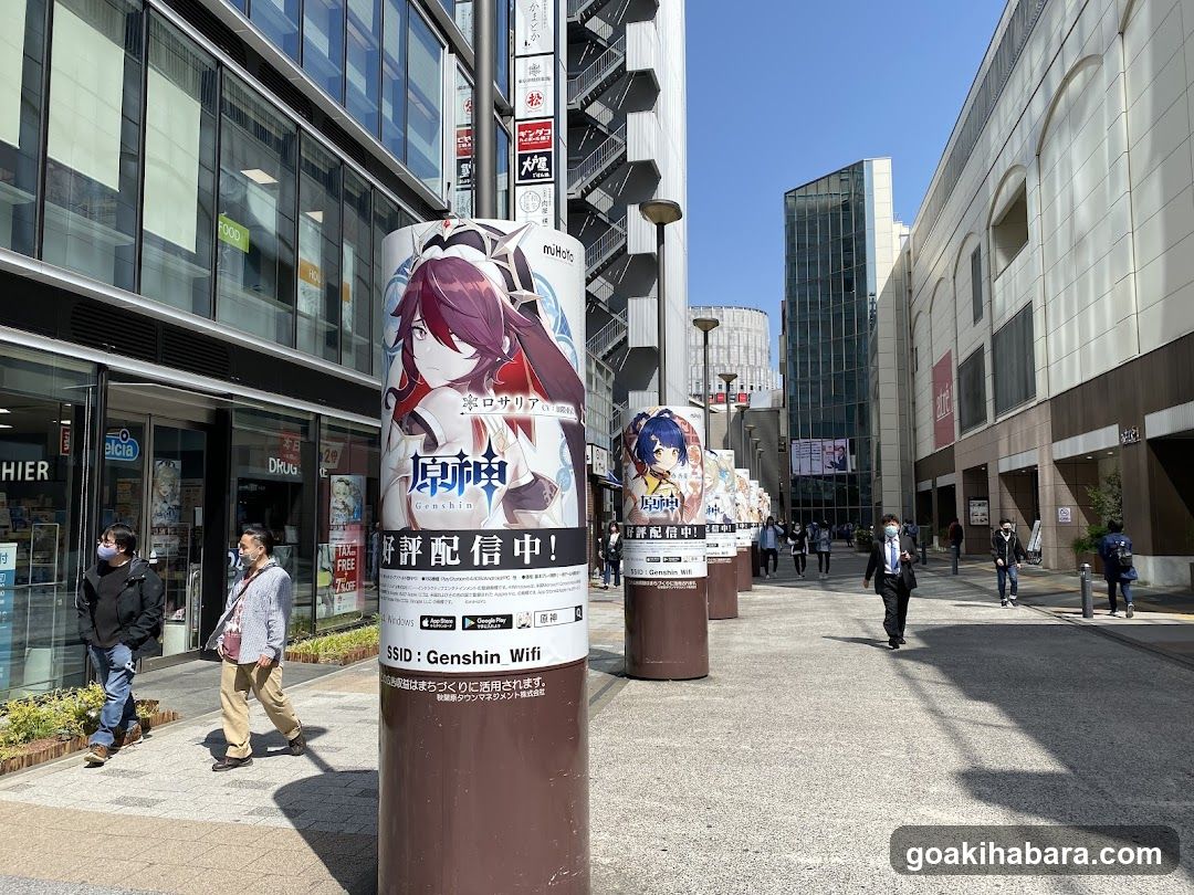 Akihabara Station Electric Town West Plaza