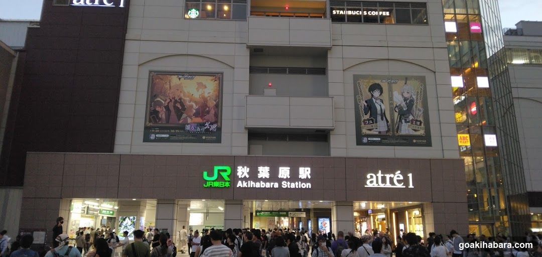 Akihabara Station Electric Town West Plaza