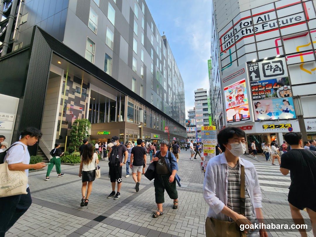 Akihabara Station Electric Town West Plaza