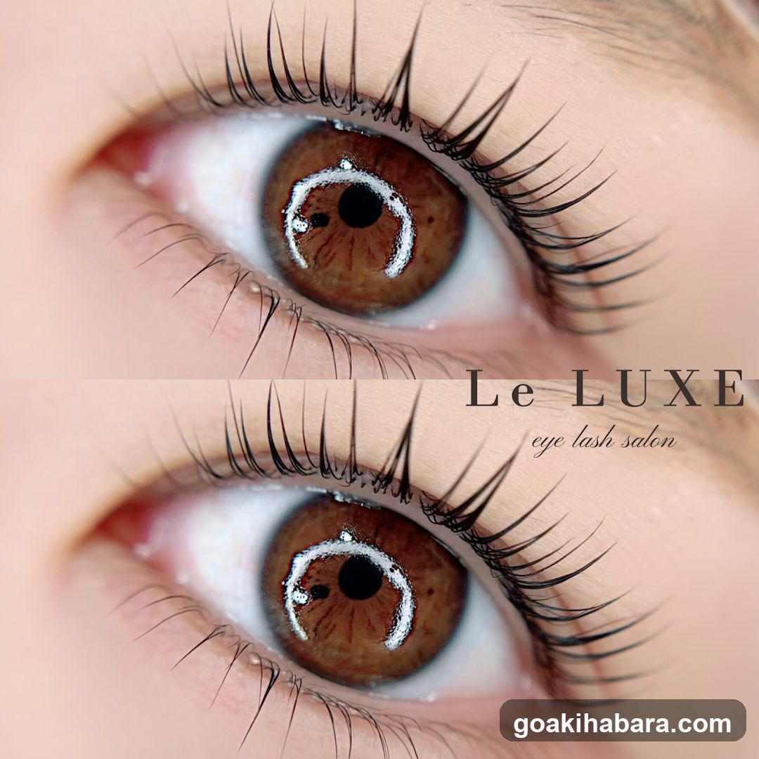 LeLUXE
