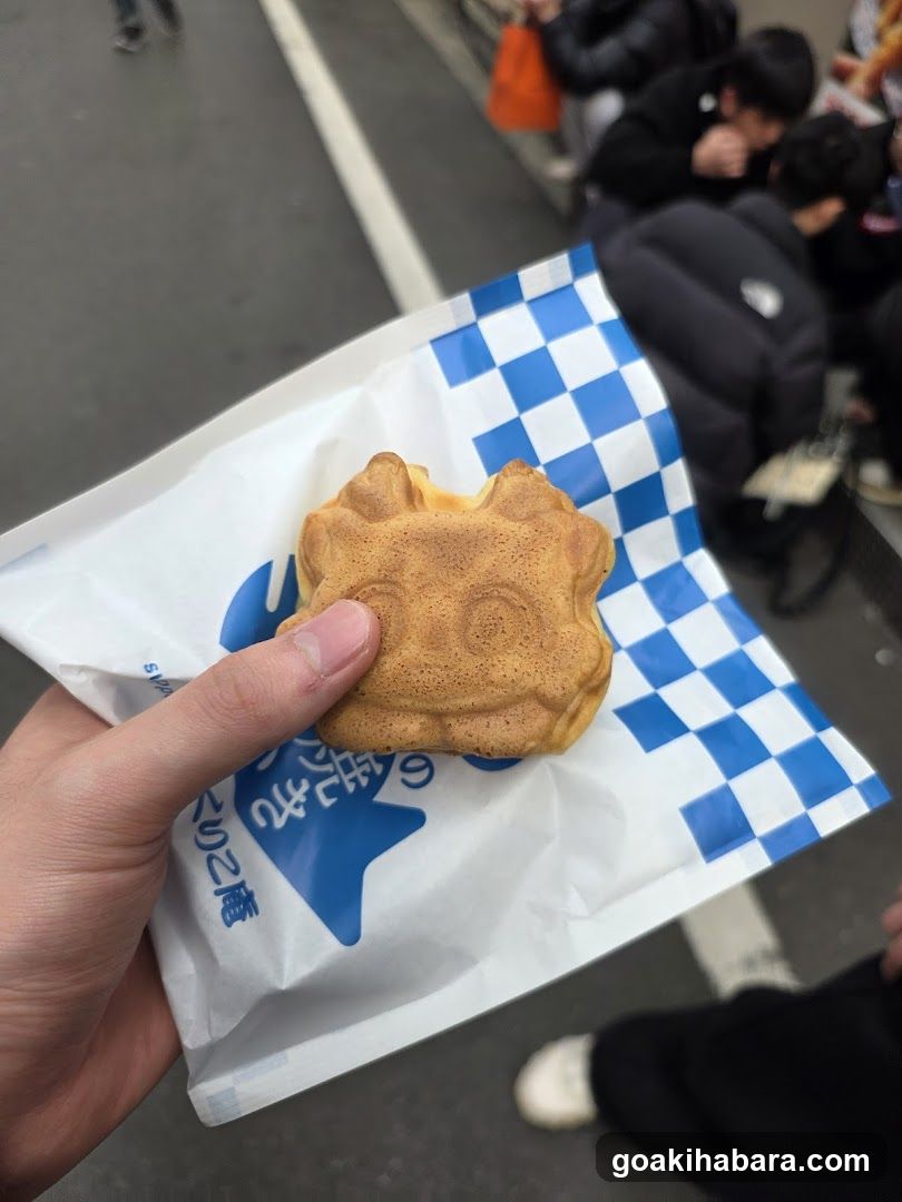 Gigo's Taiyaki Akihabara